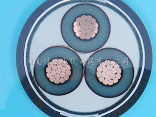 交聯鎧裝係列黄瓜视频在线下载